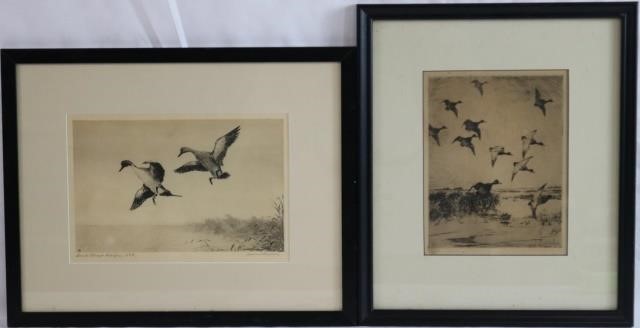 Appraisal: TWO SPORTING ETCHINGS ONE DEPICTS CANADA GEESE BY NEW ENGLAND