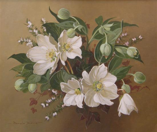 Appraisal: Pamela Davies still life of Hellebores signed oil on canvas