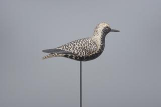 Appraisal: Black-Bellied Plover A Elmer Crowell - East Harwich MA c