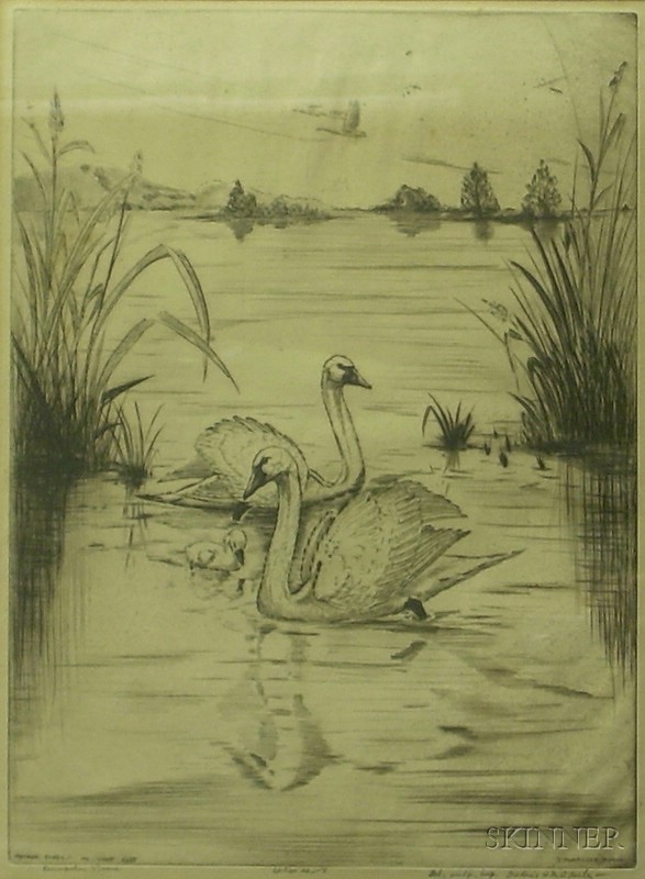 Appraisal: Framed Bird Etching Trumpeter Brood by Frederic Farley American signed