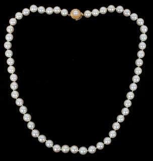 Appraisal: MM PEARL NECKLACE MM PEARL NECKLACE L A mm pearl