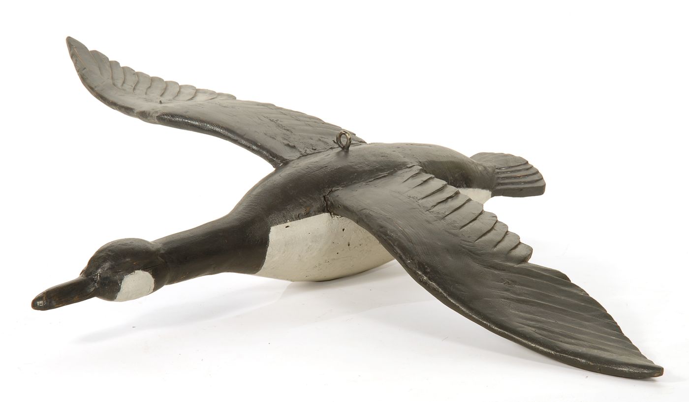 Appraisal: OVERSIZE CARVED CANADA GOOSE IN FLIGHT With detailed feather carving