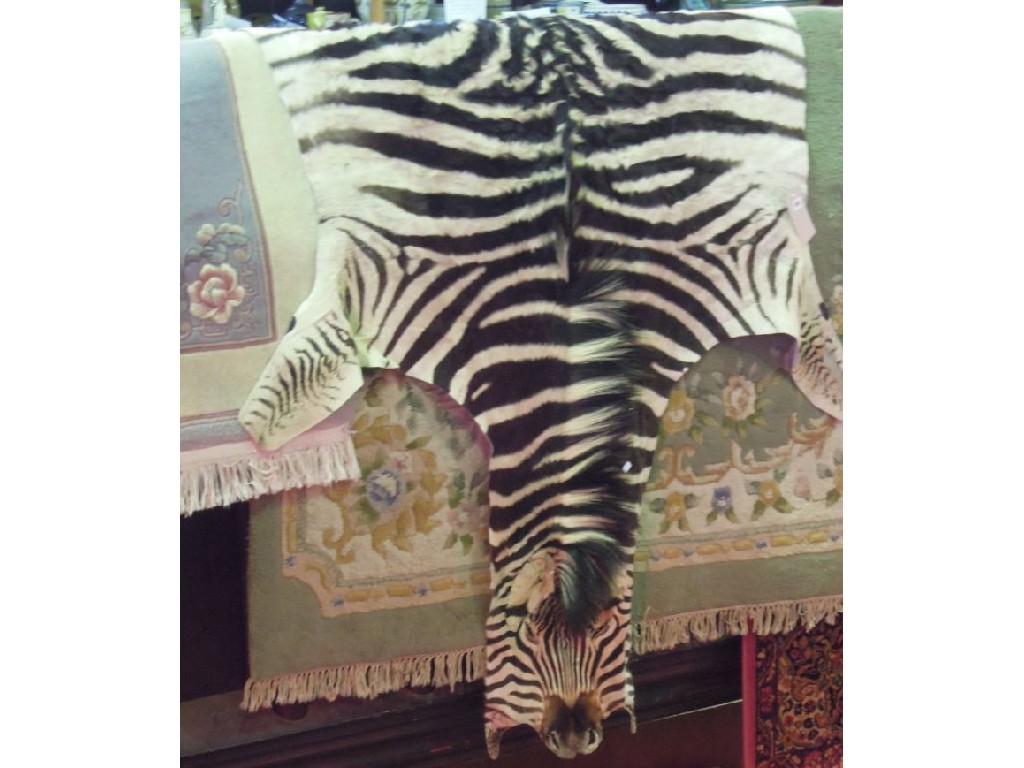 Appraisal: A zebra skin rug