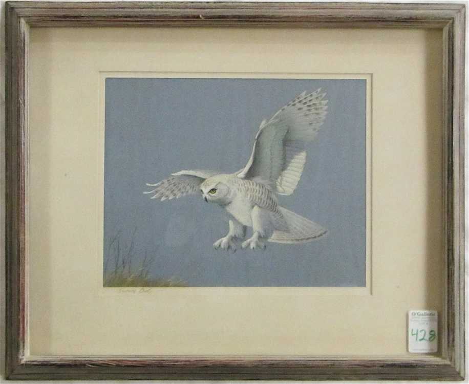 Appraisal: HOWARD MUNNS PASTEL ON PAPER United States - Snowy Owl