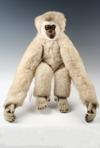 Appraisal: TOY - Large Steiff stuffed gibbon monkey with white hair