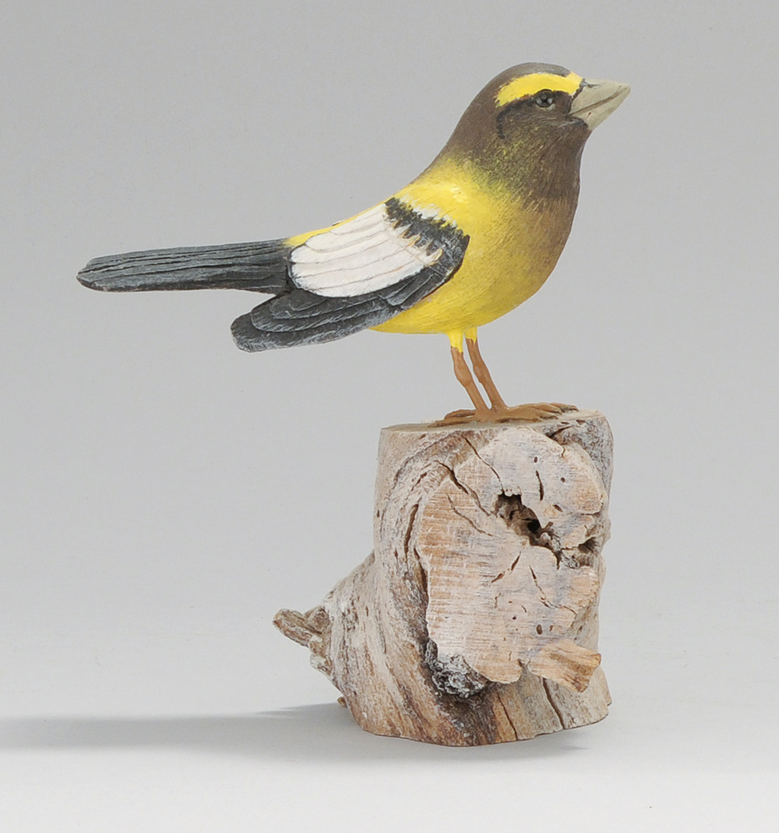 Appraisal: LIFE-SIZE EVENING GROSBEAK By Stan Sparre of East Falmouth Massachusetts