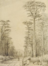 Appraisal: William Swainson British New Zealander - Road Through the Birch