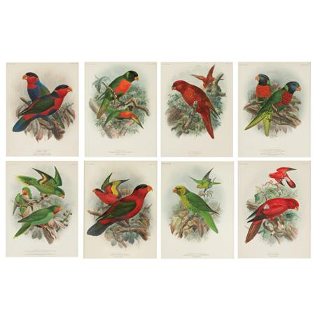 Appraisal: John Gerrard Keulemans PARROT STUDIES Eight hand-colored lithographs Estimate -