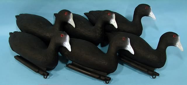 Appraisal: Group of plastic Coot hunting decoys