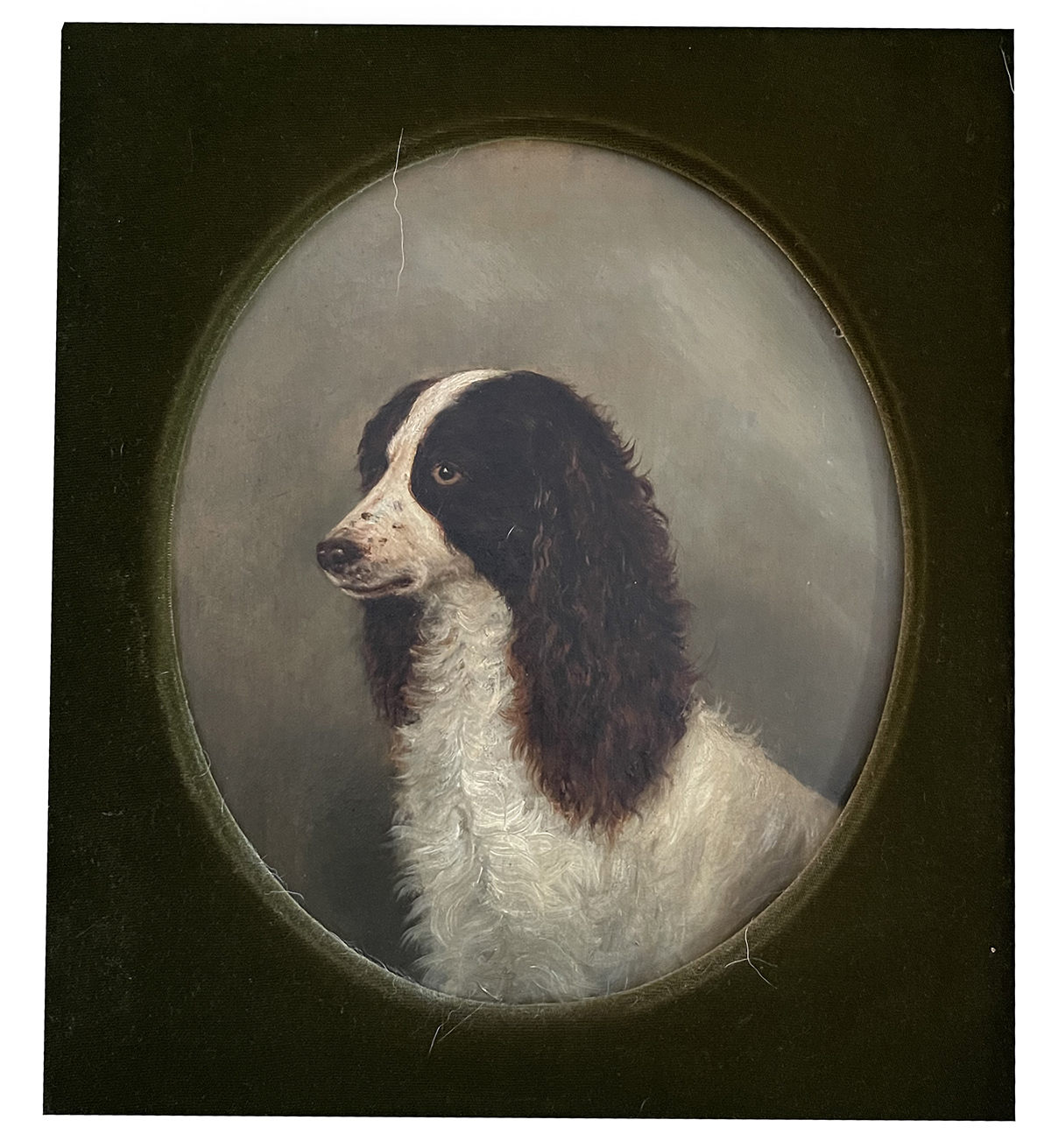 Appraisal: PORTRAIT PAINTING OF A KING CHARLES SPANIEL ATT ROBERT MENDHAM