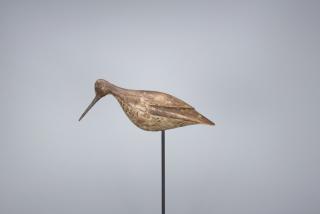 Appraisal: Feeding Dowitcher Dave Umbrella Watson Feeding Dowitcher Dave Umbrella Watson