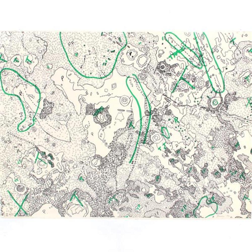 Appraisal: NANCY STEVENSON GRAVES NEW YORK MASSACHUSETTS - LUNAR MAP IV