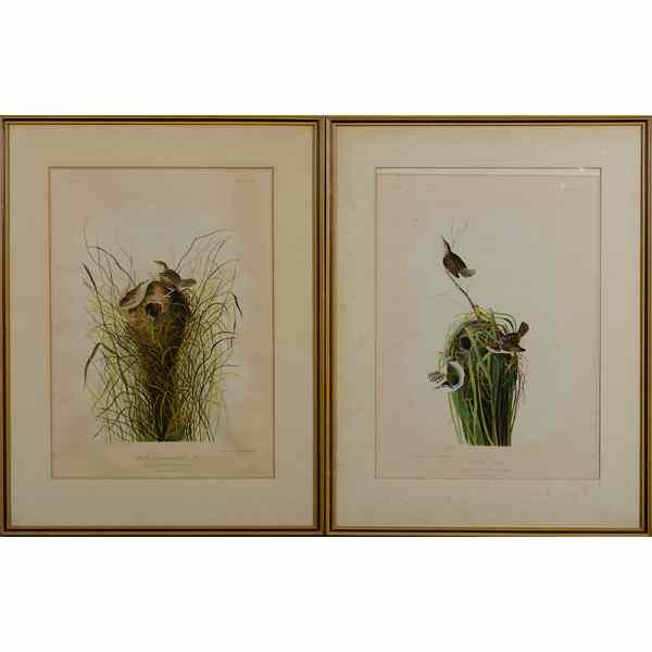 Appraisal: Pair of Bien Edition Audubon Chromolithographs Both Bien Edition chromothithographs