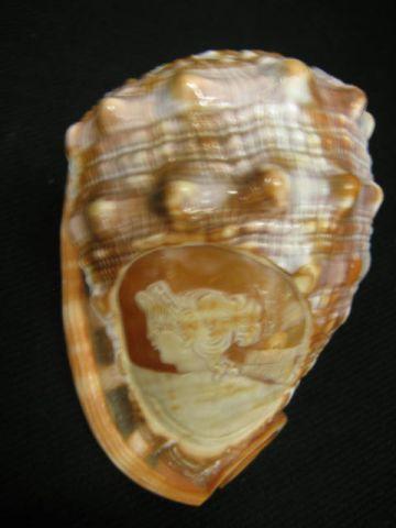 Appraisal: Carved Cameo Shell portrait of maiden