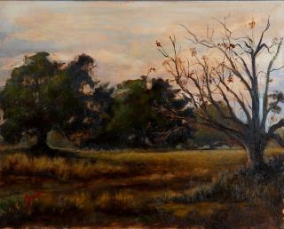 Appraisal: Jerome Weber New Iberia Louisiana Oak Trees i Jerome Weber