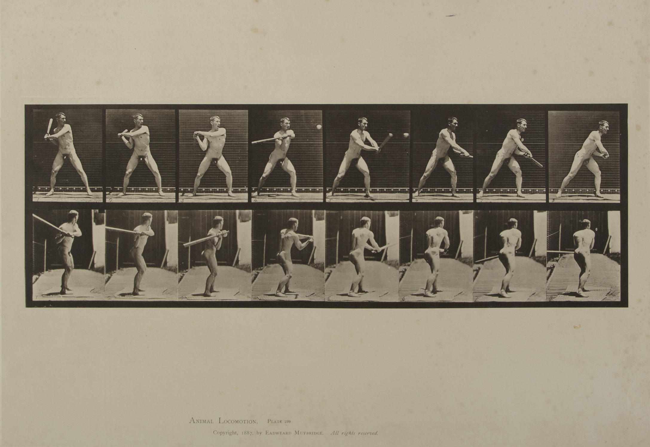 Appraisal: MUYBRIDGE EADWEARD - Collotype plate no from Animal Locomotion Philadelphia