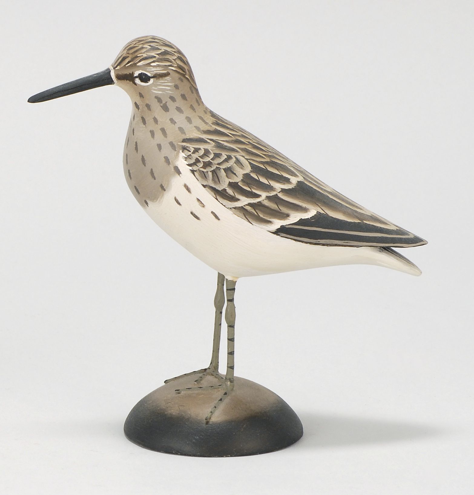 Appraisal: LIFE-SIZE DUNLIN By James Lapham of Dennisport Massachusetts Mounted on