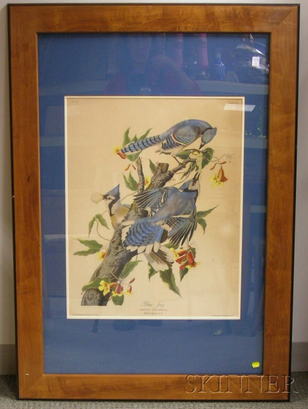 Appraisal: th Century Enhanced Chromolithograph after Audubon John James - Blue