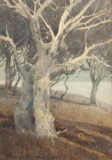 Appraisal: Percy Gray ''White Tree Trunk'' sycamore signed and dated lower