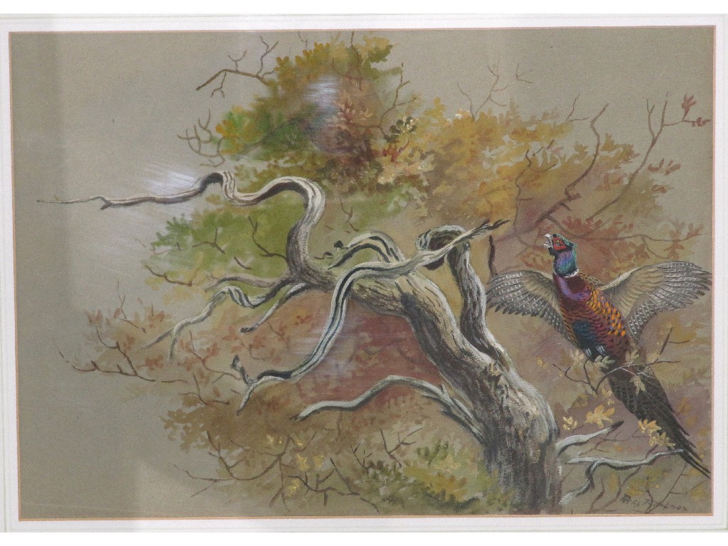 Appraisal: PHILIP RICKMAN watercolour 'Startled Pheasant' signed recto and labelled verso