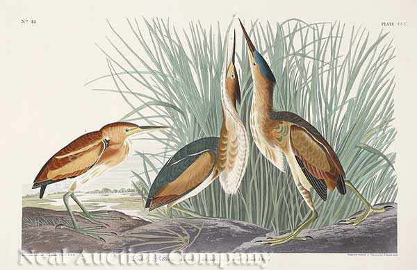 Appraisal: John James Audubon American - Least Bittern Plate CCX from