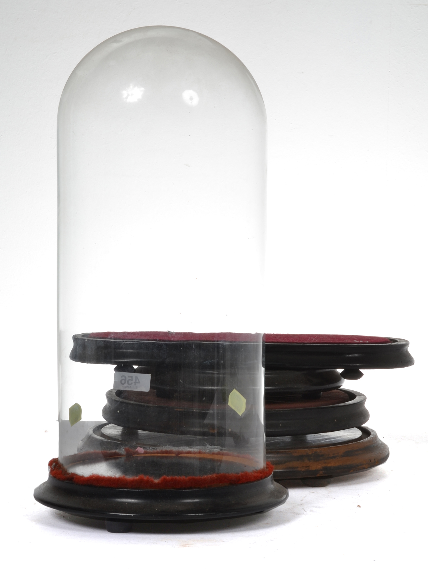 Appraisal: GLASS DISPLAY DOME ON WOODEN BASE CMS HIGH