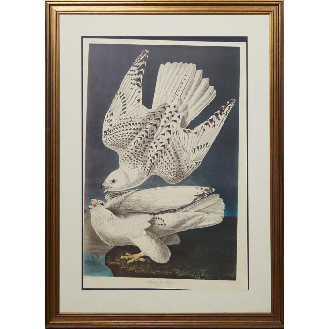 Appraisal: John James Audubon - Haiti New York Iceland or Jer