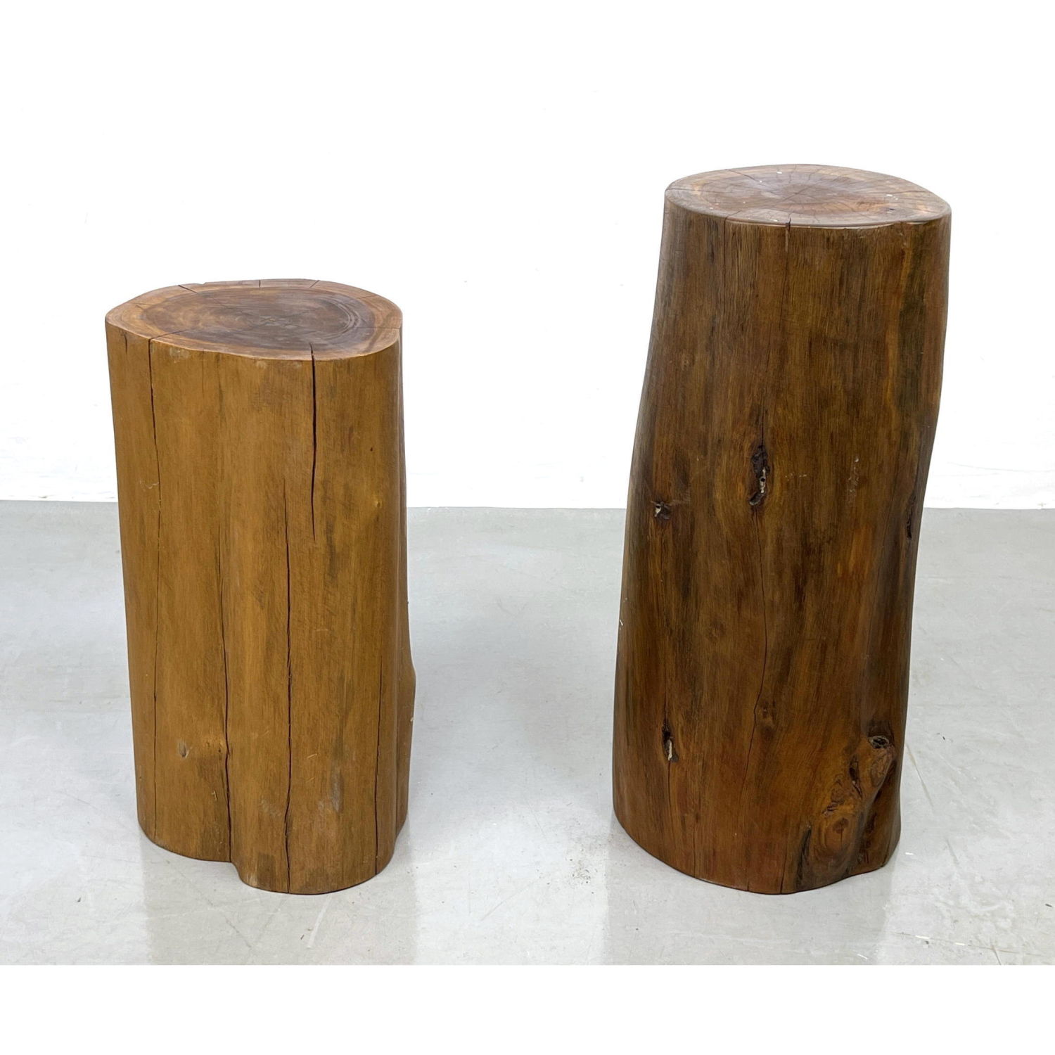 Appraisal: pc Natural Wood Tree Stump Display Pedestals Side Tables Flat