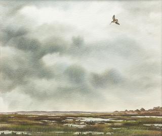 Appraisal: David Hagerbaumer Common Snipe signed David Hagerbaumer lower right watercolor