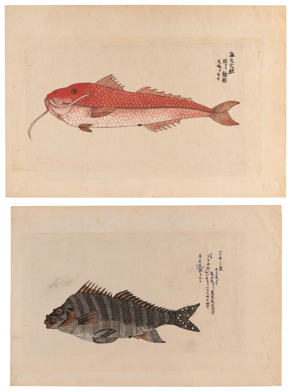 Appraisal: TWO JAPANESE PAINTINGS OF FISH MEIJI PERIOD ON RICE PAPER