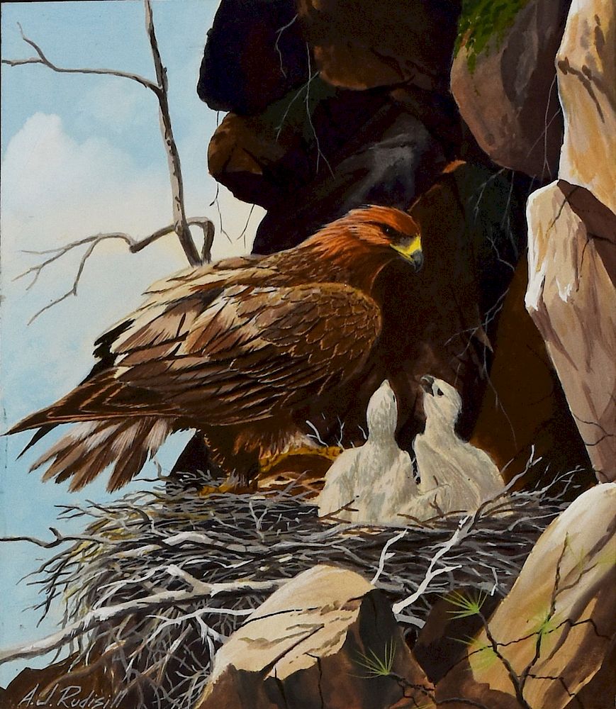 Appraisal: Anthony J Rudisill Golden Eagle Gouache on Paper Anthony J