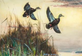 Appraisal: Arthur D Fuller - Two Black Ducks signed Arthur D