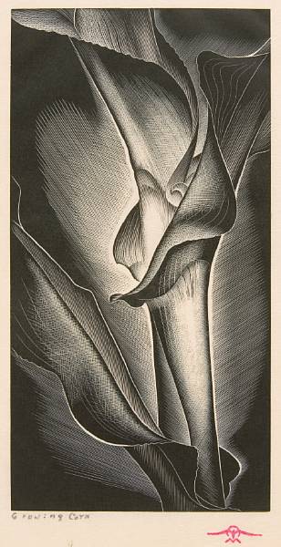 Appraisal: Paul Landacre American - Growing Corn Wood engraving printed on