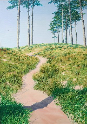 Appraisal: Graham Hillier British - Pines Close to Holkham Norfolk signed