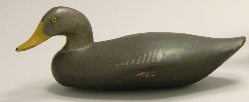 Appraisal: BLACK DUCK DECOY By Madison Mitchell of Havre de Grace