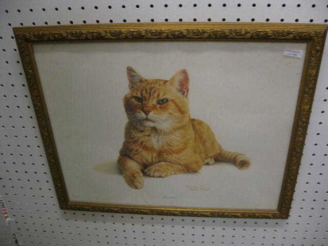 Appraisal: Charles Frace' Print Moriss the Cat pencil signed X