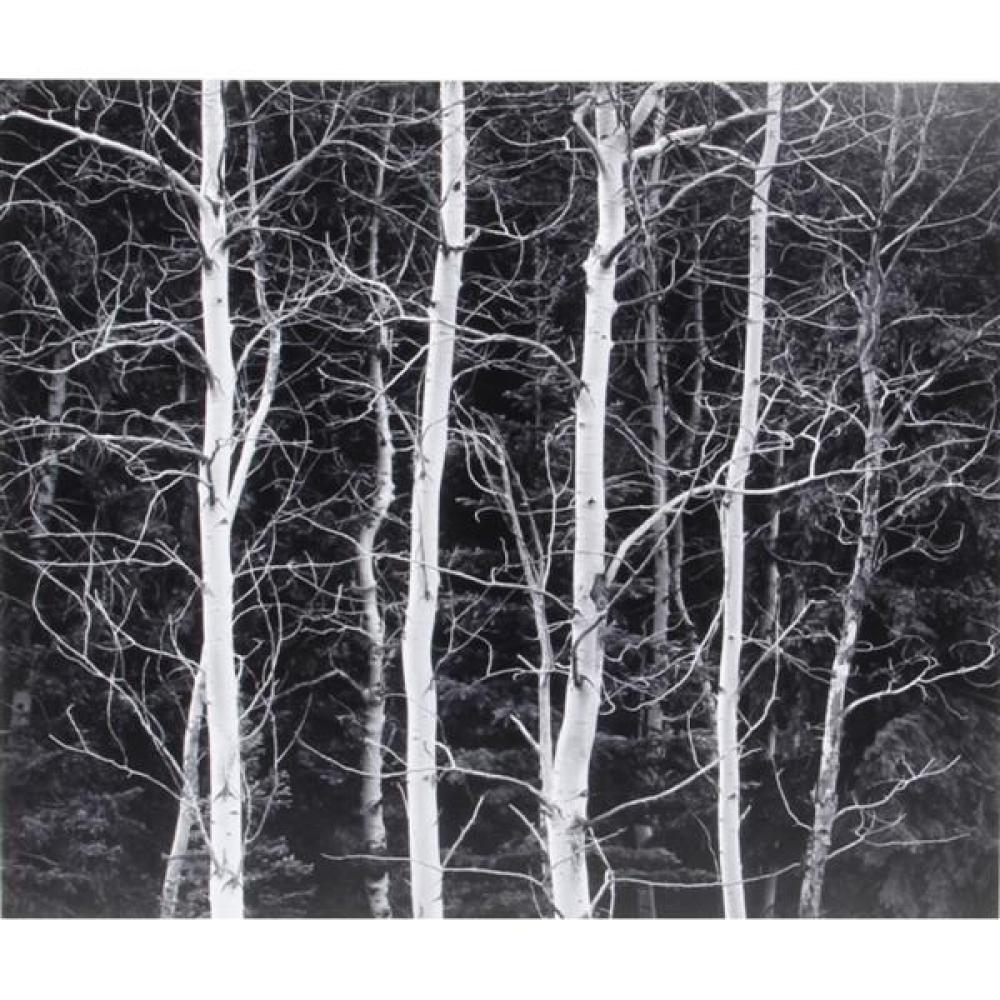 Appraisal: JOHN SEXTON AMERICAN B LISTEN TO THE TREES ASPEN FILIGREE