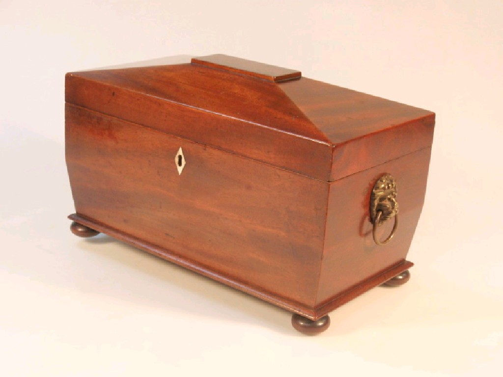 Appraisal: A Regency period mahogany sarcophagus tea caddy with brass lion