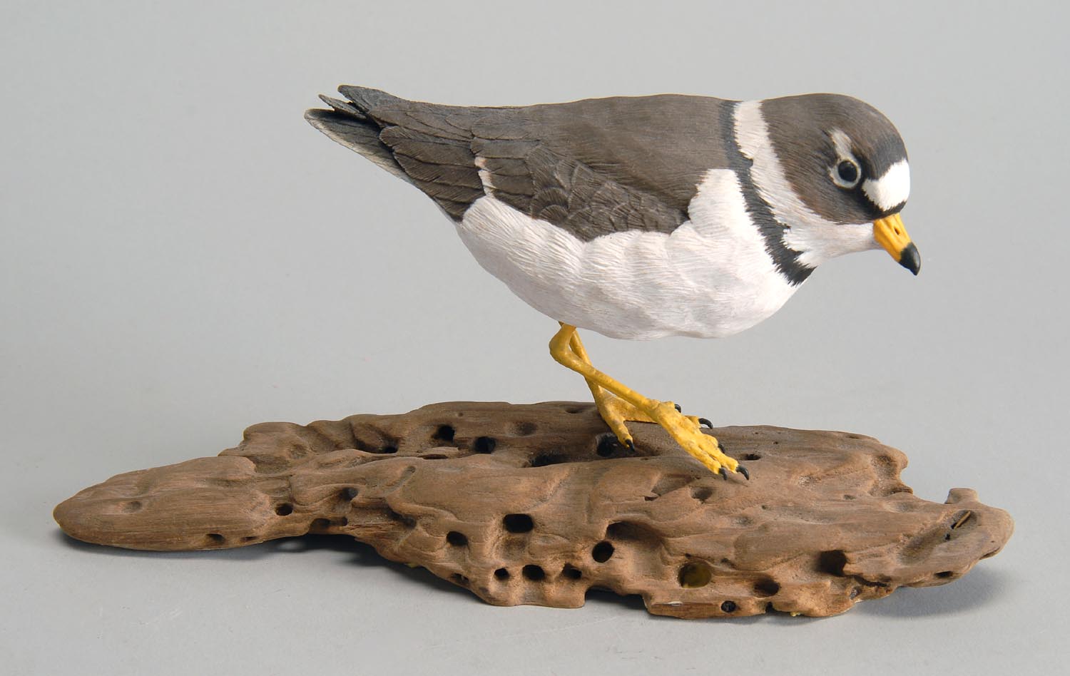 Appraisal: DECORATIVE CARVED LIFE-SIZE PIPING PLOVER by John A Mello Jr