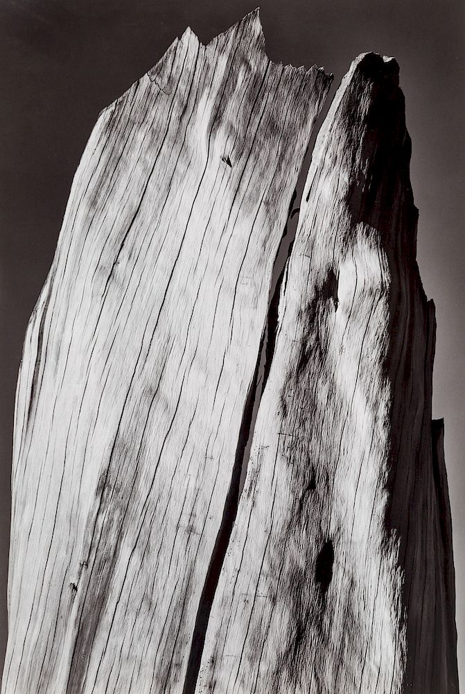 Appraisal: ANSEL ADAMS AMERICAN - ANSEL ADAMS AMERICAN - White Stump