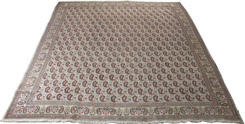 Appraisal: Antique Mood Carpet Iran Approx '- x '- Ivory color