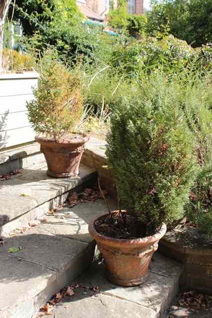 Appraisal: A SET OF FOUR WHICHFORD POTTERY TERRACOTTA PLANT POTS with