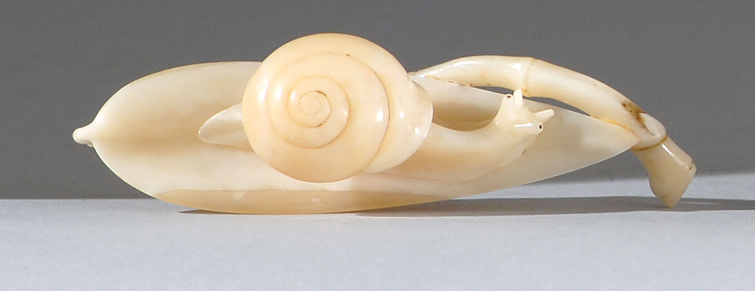 Appraisal: BOAR'S TUSK NETSUKE th CenturyIn the form of a snail