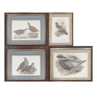 Appraisal: Four Hand Colored Bird Prints Four hand colored bird prints