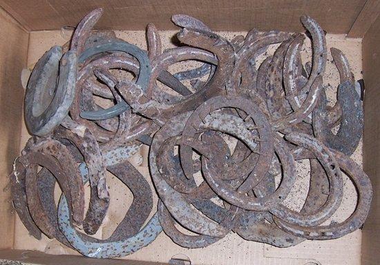 Appraisal: A quantity of horseshoes