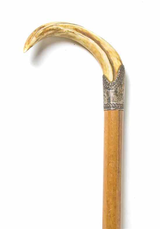 Appraisal: A Fruitwood Boar's Tusk and Sterling Silver Mounted Cane the