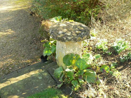 Appraisal: A square pillar and a staddle stone top cm high