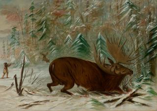 Appraisal: GEORGE CATLIN - Moose Hunt oil on board x inches