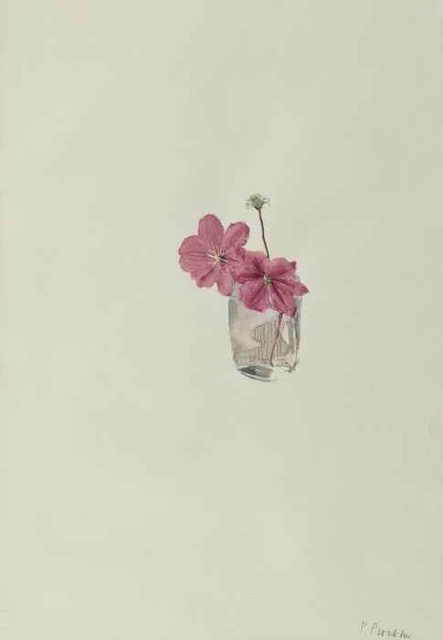 Appraisal: Patrick Procktor - Christmas Rose watercolour on paper signed in