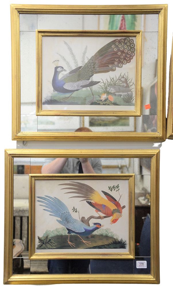 Appraisal: Six Piece Group of Bird Digital Prints after Carlo Antonio